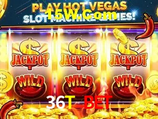 Security Systems 36T Bet